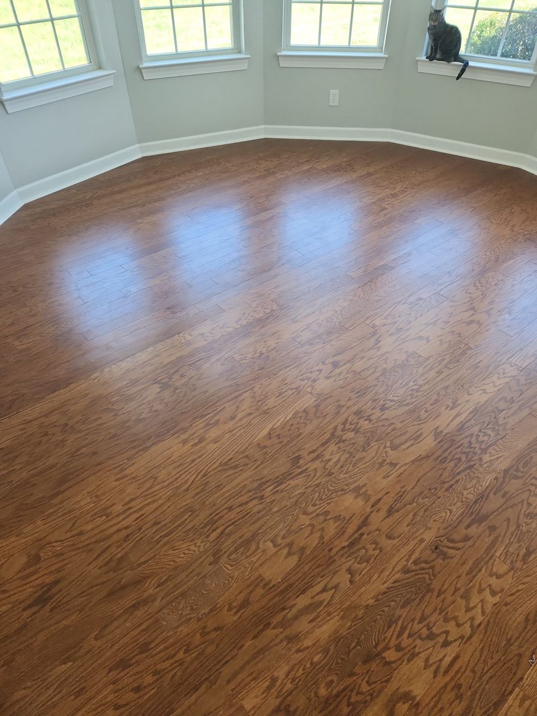 Bright bay-window room with gunstock oak hardwood flooring